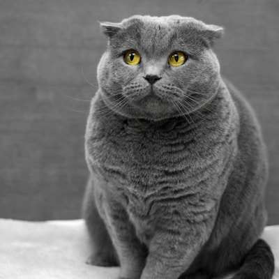 良品铺子混合坚果 500g 每日坚果